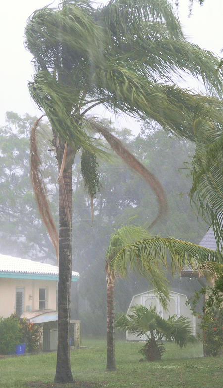 During the Storm: Consider Leaving or Evacuating