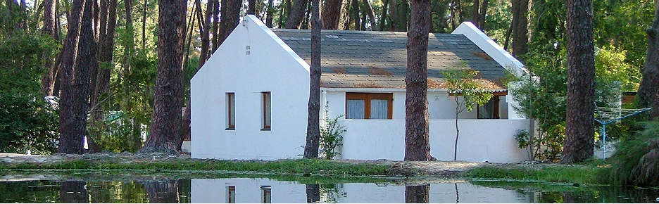 A white house surrounded by trees and a pond, used to illustrate a home at risk in a hurricane-prone area